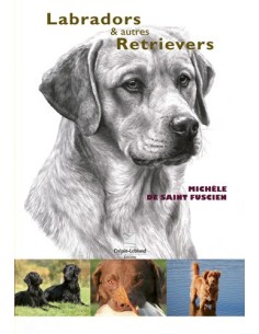 LABRADORS ET AUTRES RETRIEVERS