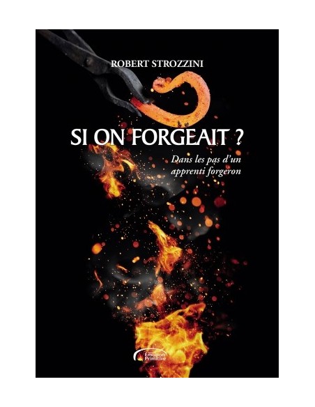 SI ON FORGEAIT ? DANS LES PAS D'UN APPRENTI FORGERON