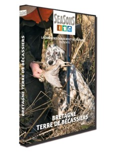 BRETAGNE, TERRE DE BÉCASSIERS