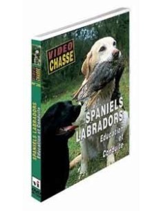 SPANIEL ET LABRADOR, ÉDUCATION ET CONDUITE