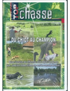 DU CHIOT AU CHAMPION