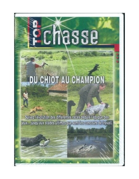 DU CHIOT AU CHAMPION