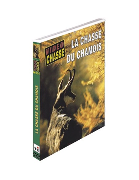 LA CHASSE DU CHAMOIS