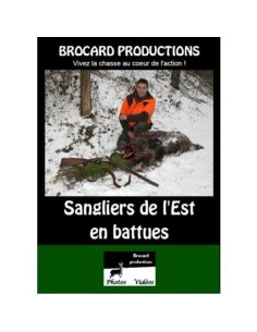 SANGLIERS DE L'EST EN BATTUES