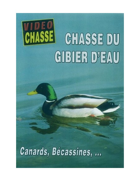 GIBIER D EAU CANARDS, BÉCASSINES