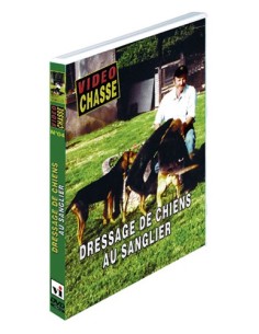 DRESSAGE DE CHIENS AU SANGLIER