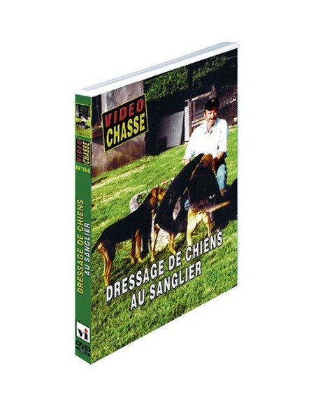 DRESSAGE DE CHIENS AU SANGLIER