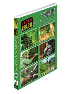 LA CHASSE D ÉTÉ DU BROCARD