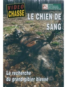 LE CHIEN DE SANG, LA RECHERCHE DU GIBIER BLESSÉ