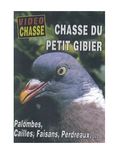 CHASSE DU PETIT GIBIER PALOMBES, CAILLES, FAISANS, PERDREAUX