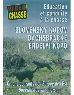 SLOVENSKI KOPOV, ÉDUCATION ET CONDUITE A LA CHASSE
