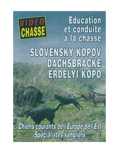 SLOVENSKI KOPOV, ÉDUCATION ET CONDUITE A LA CHASSE