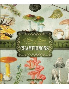 ATLAS ILLUSTRÉ DES CHAMPIGNONS