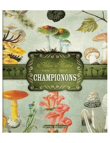 ATLAS ILLUSTRÉ DES CHAMPIGNONS
