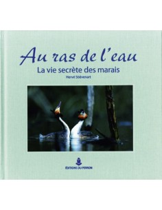 AU RAS DE L EAU LA VIE SECRÈTE DES MARAIS