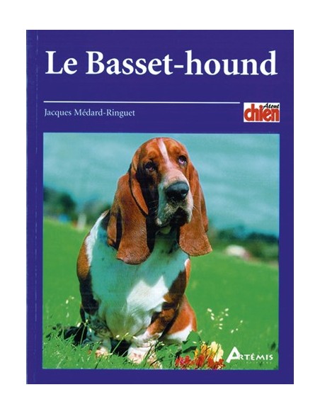 LE BASSET - HOUND