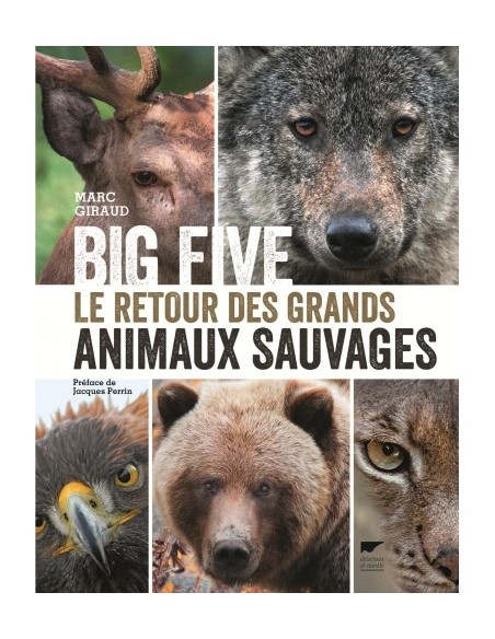 BIG FIVE - LE RETOUR DES GRANDS ANIMAUX SAUVAGES