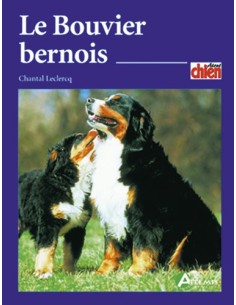 LE BOUVIER BERNOIS