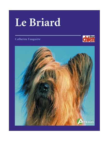 LE BRIARD