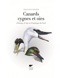 CANARDS CYGNES ET OIES