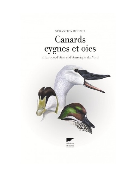 CANARDS CYGNES ET OIES