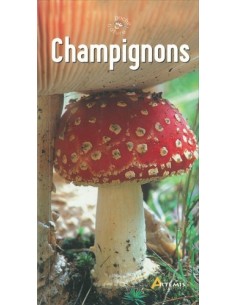 CHAMPIGNONS