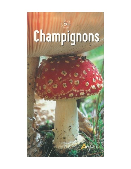 CHAMPIGNONS