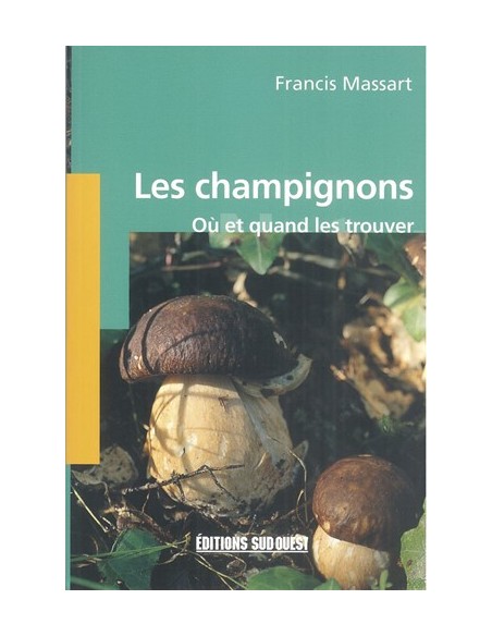 LES CHAMPIGNONS OÙ ET QUAND LES TROUVER