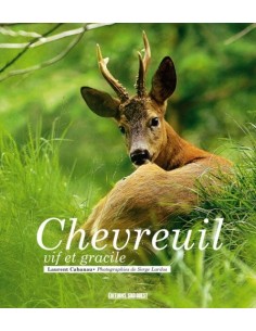 CHEVREUIL VIF ET GRACILE