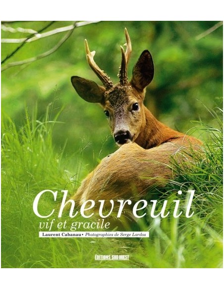 CHEVREUIL VIF ET GRACILE