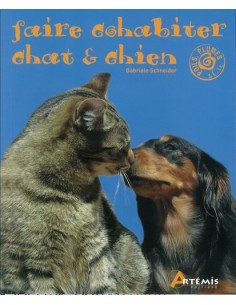 FAIRE COHABITER CHAT ET CHIEN