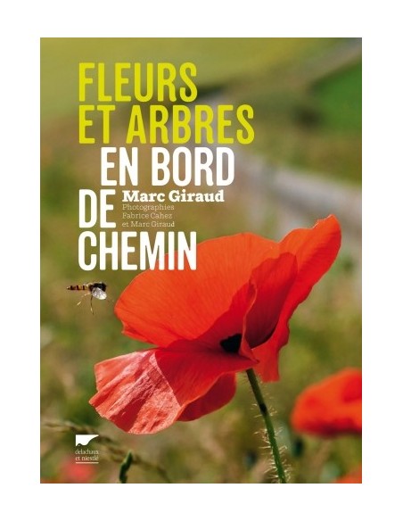 FLEURS ET ARBRES EN BORD DE CHEMIN