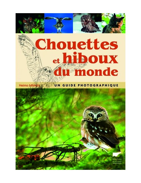 CHOUETTES ET HIBOUX DU MONDE - UN GUIDE PHOTOGRAPHIQUE