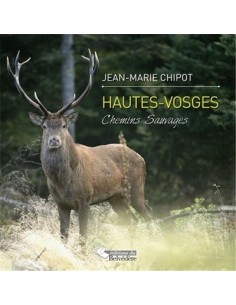 HAUTES VOSGES - CHEMINS SAUVAGES
