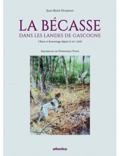 LA BÉCASSE DANS LES LANDES DE GASCOGNE