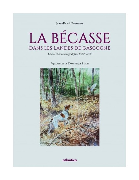 LA BÉCASSE DANS LES LANDES DE GASCOGNE