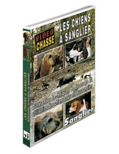 LES CHIENS A SANGLIER DIFFÉRENTES TECHNIQUES DE DRESSAGE