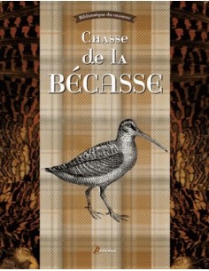 CHASSE DE LA BÉCASSE