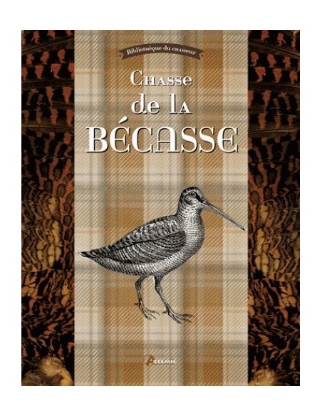 CHASSE DE LA BÉCASSE