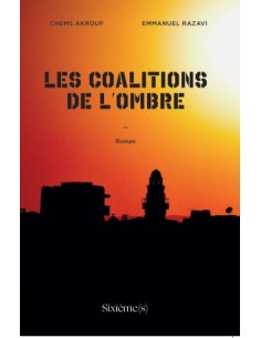 LES COALITIONS DE L'OMBRE