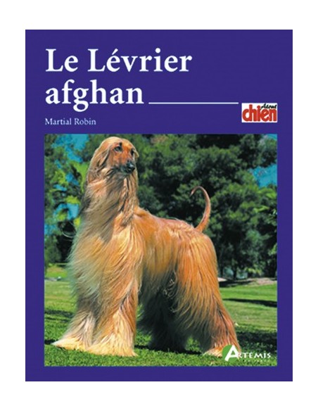 LE LEVRIER AFGHAN