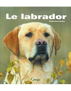 LE LABRADOR (PROXIMA)