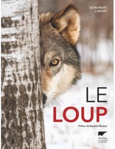 LE LOUP 2