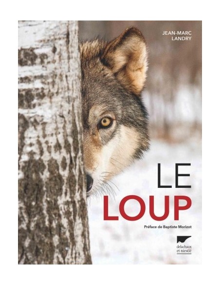 LE LOUP