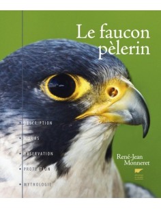 LE FAUCON PELERIN