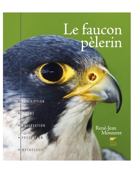 LE FAUCON PELERIN