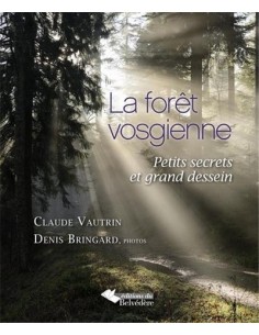 LA FORÊT VOSGIENNE - PETITS SECRETS ET GRAND DESSEIN
