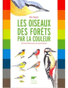 LES OISEAUX DES FORETS PAR LA COULEUR