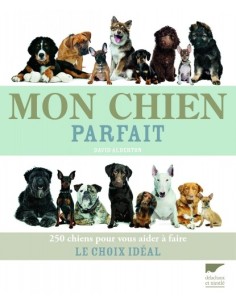 MON CHIEN PARFAIT