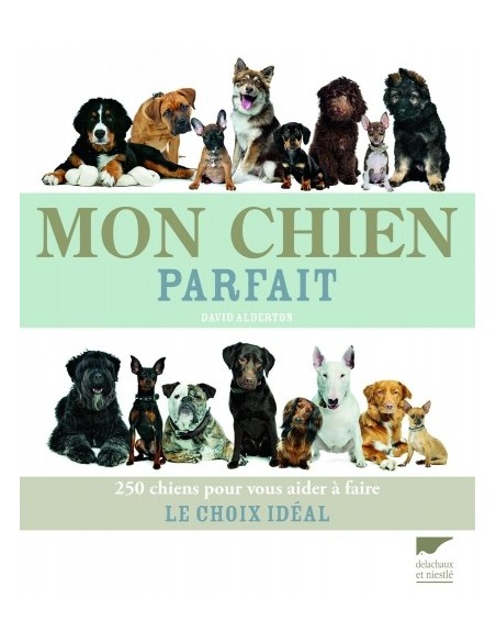 MON CHIEN PARFAIT
